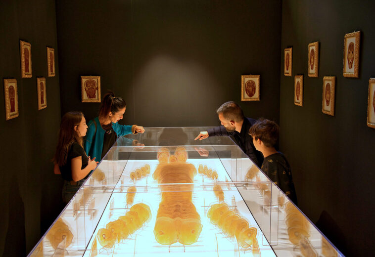 REAL BODIES DAL 25 NOVEMBRE AL TEATRO MARGHERITA DI BARI, “Il format anatomico da milioni di visitatori”